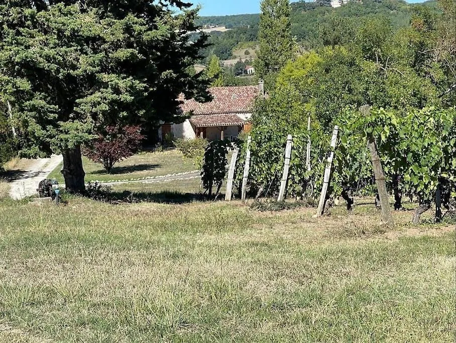 Gite Au Coeur Des Vignes Cazes-Mondenard France